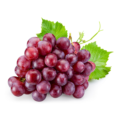 italian grape